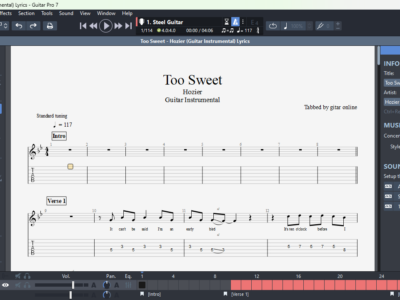 Too Sweet - Hozier - Guitar Instrumental - Lyrics (GPX)
